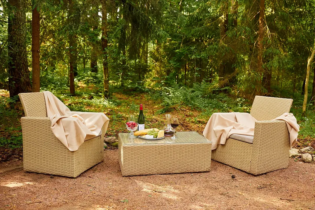 Репинские дачи, Ленинградская область: фото 4