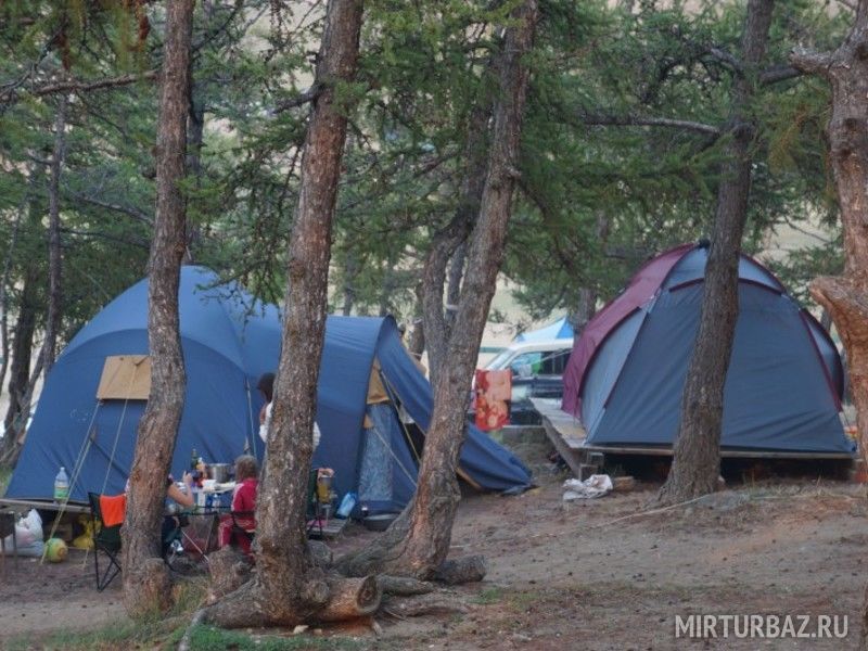 Большая медведица, Иркутская область: фото 2