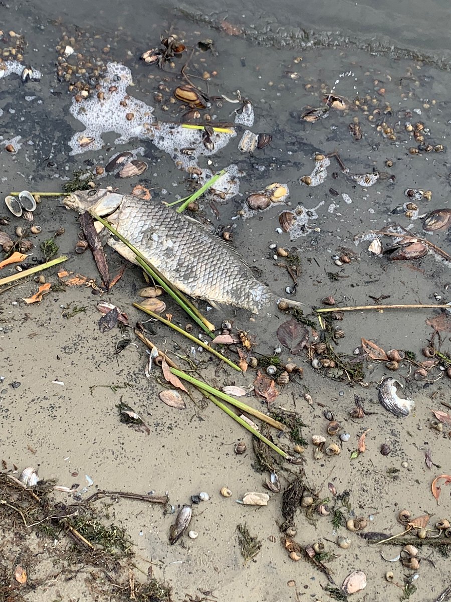 Фото 2 из отзыва о базе отдыха Дон