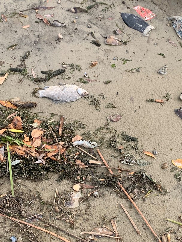 Фото 3 из отзыва о базе отдыха Дон