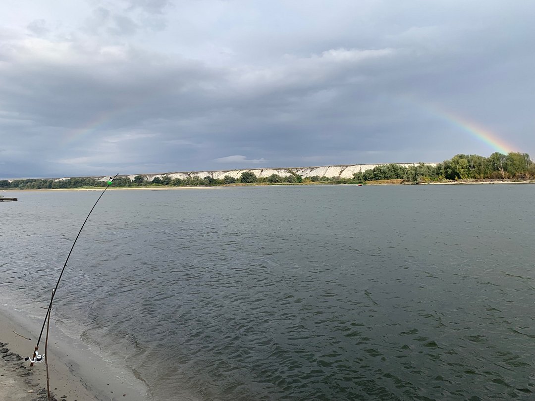 Фото 1 из отзыва о базе отдыха Дон