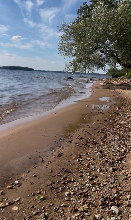 Фото из отзыва от 12.09.2025