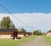 Территория | Бурый медведь, Новгородская область