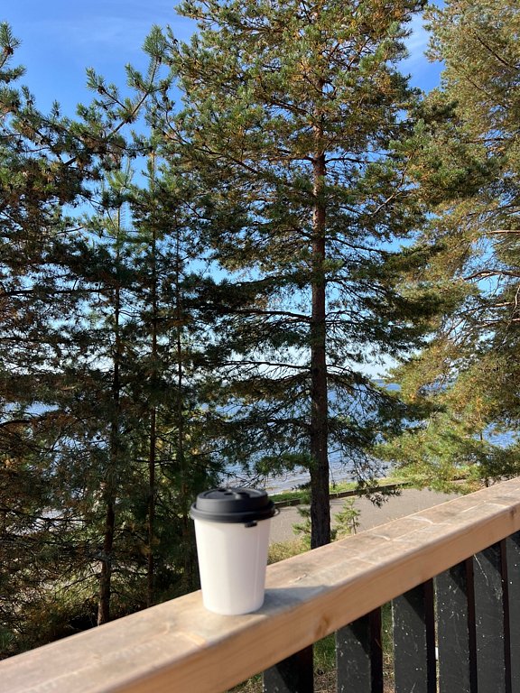 Фото из отзыва от 12.09.2025