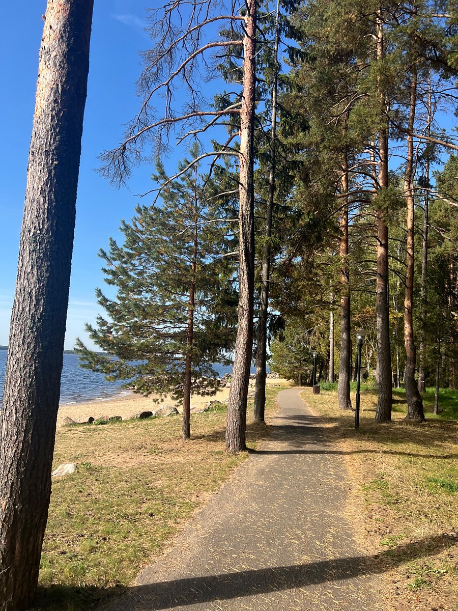 Фото 4 из отзыва о парк-отеле Бухта Коприно