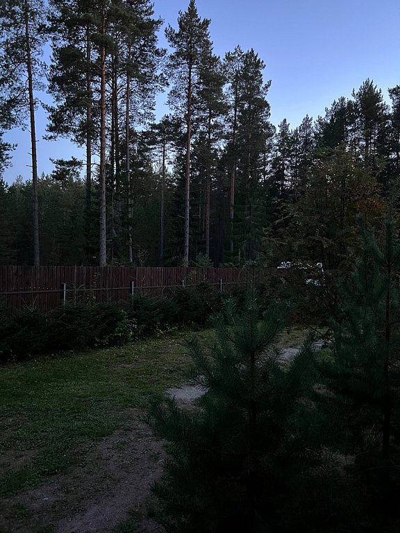 Фото из отзыва от 12.09.2025