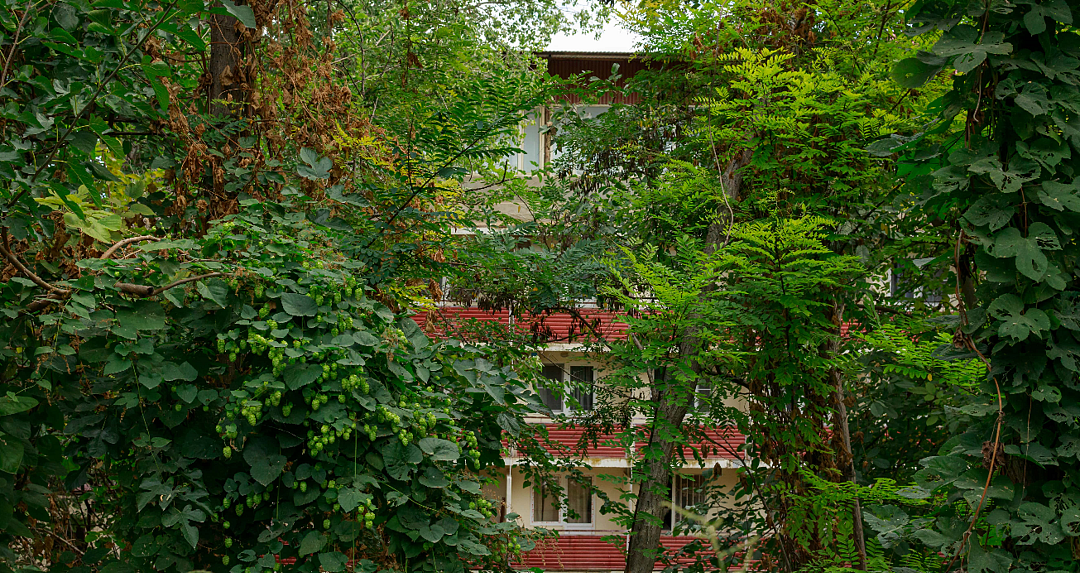 Парк-отель Кунак, Республика Дагестан: фото 3