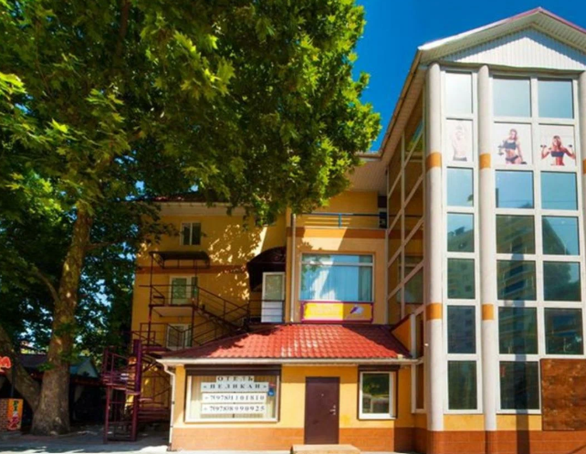 Пеликан, Крым: фото 4