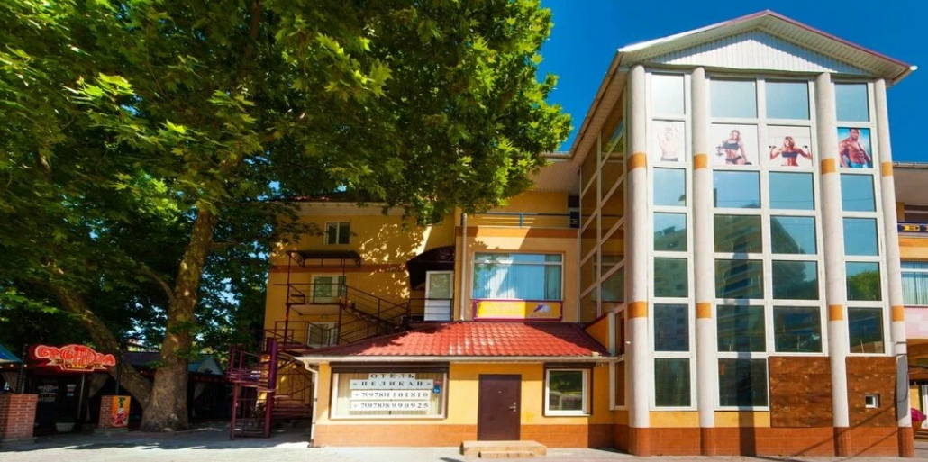 Пеликан, Крым: фото 5