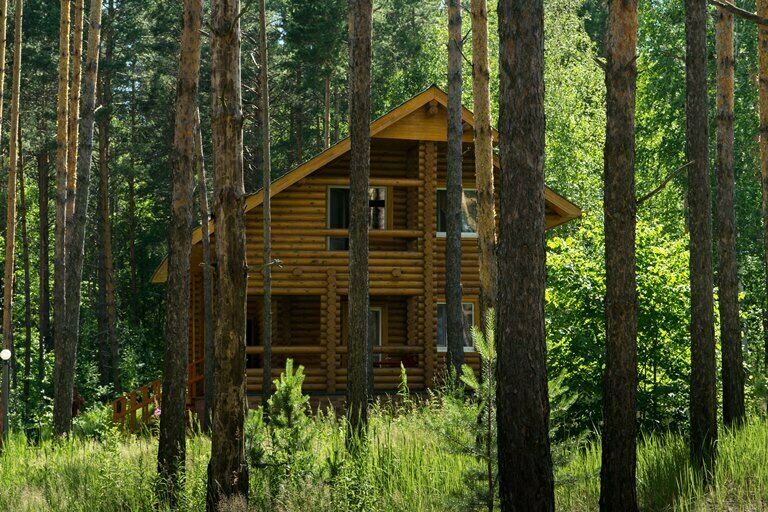 Сосновый бор, Пензенская область: фото 2