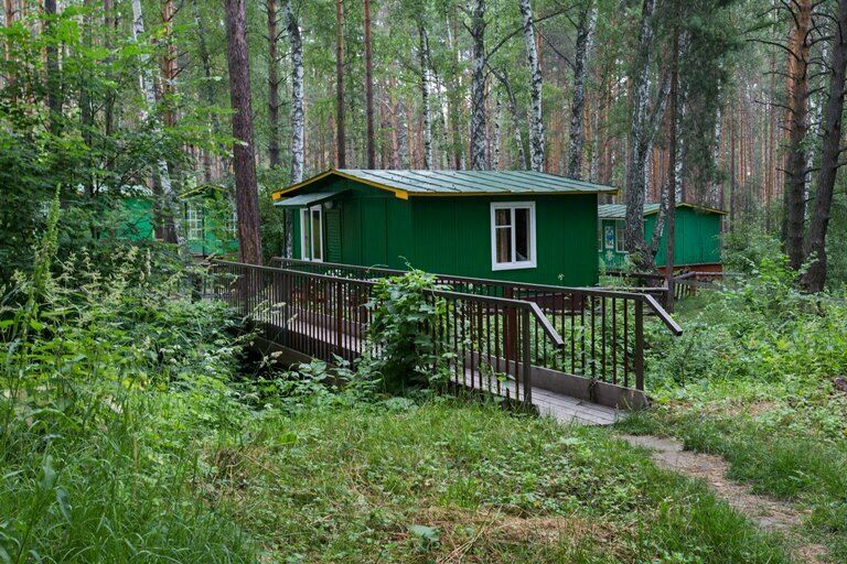 Сосновый бор, Пензенская область: фото 4