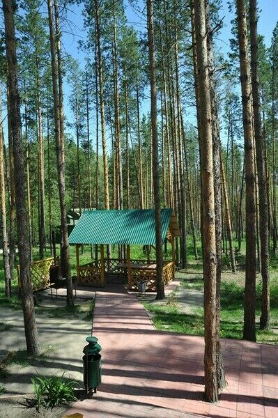 Сосновый бор, Пензенская область: фото 5