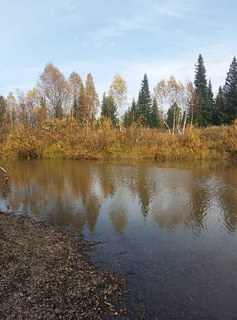 Река Абашева 