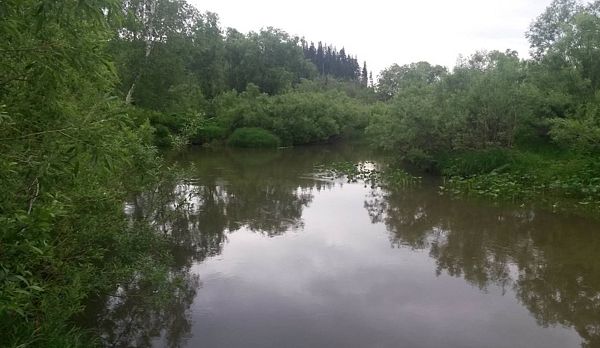 Река Абашева 