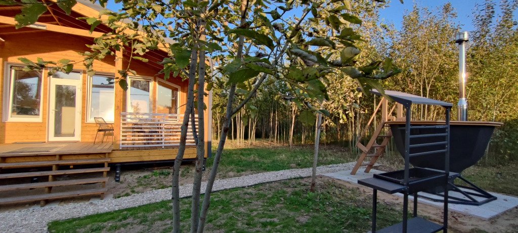 Тишь, Московская область: фото 4