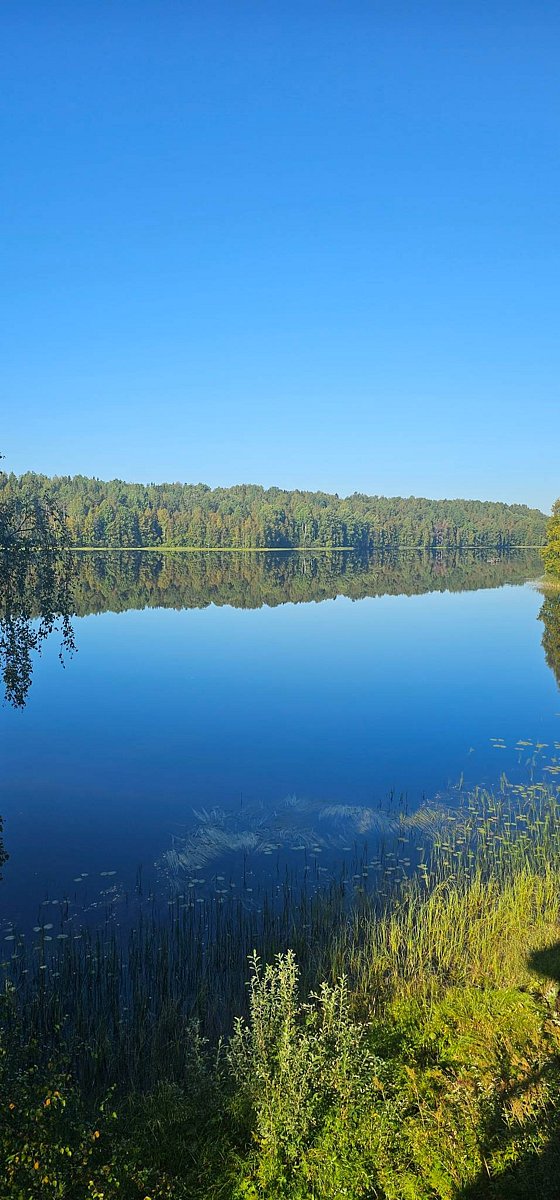 Фото 11 из отзыва о базе отдыха Лесное озеро