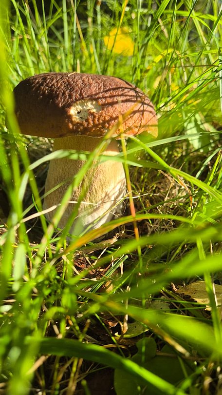 Фото 4 из отзыва о базе отдыха Лесное озеро