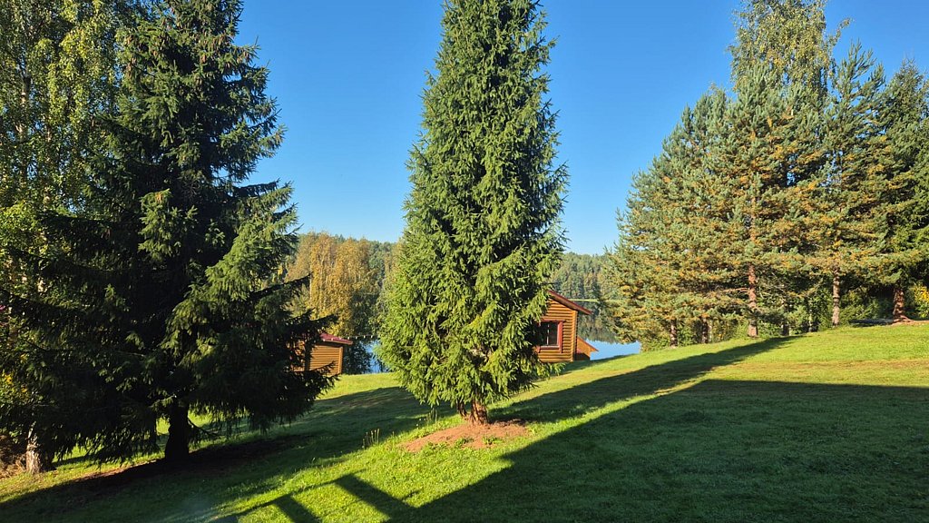 Фото из отзыва от 05.09.2025