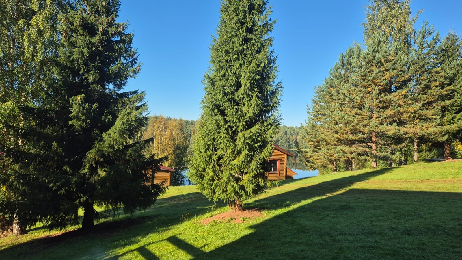 Фото 7 из отзыва о базе отдыха Лесное озеро