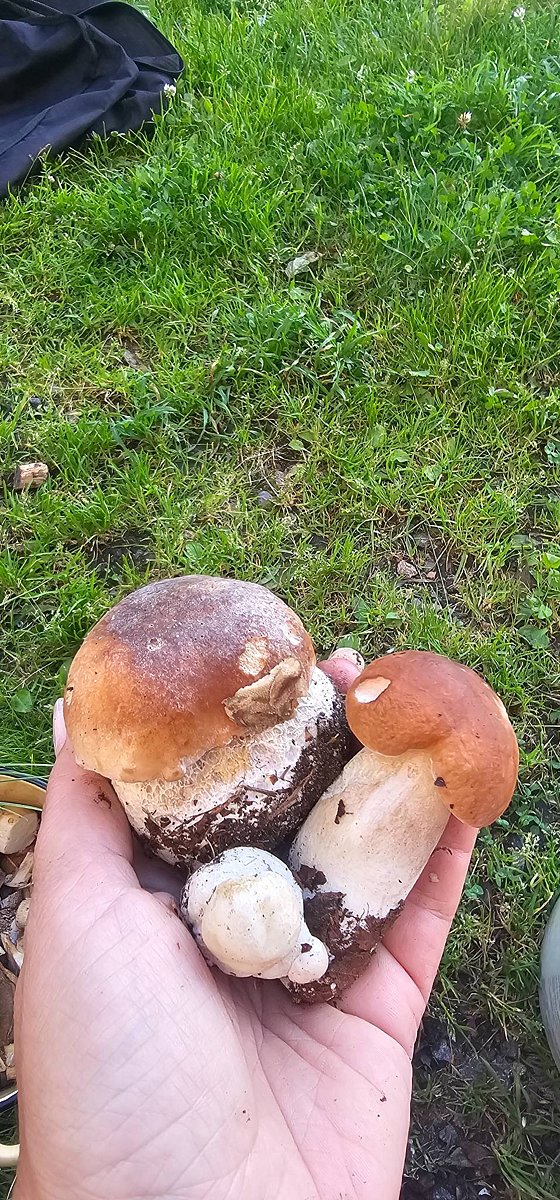 Фото 5 из отзыва о базе отдыха Лесное озеро