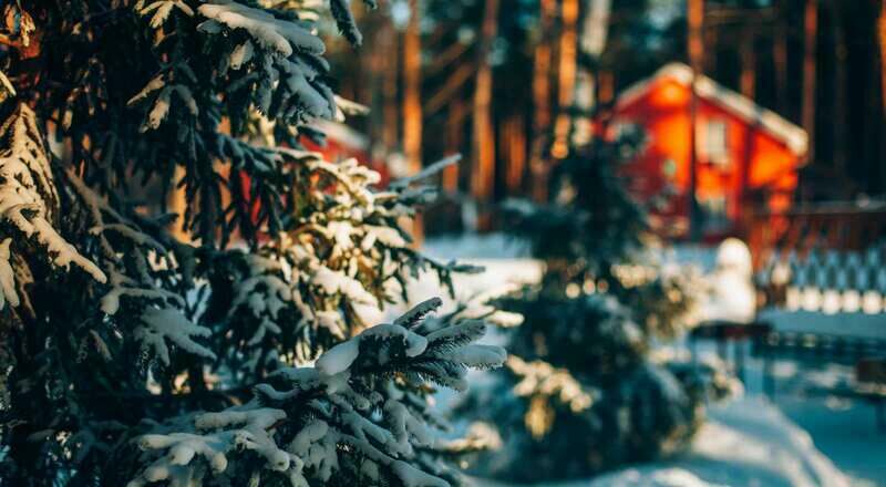 База отдыха Лесная Быль, Ульяновская область, Чердаклинский район Архангельское Старая Майна Старомайнский район