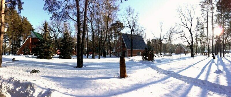 Лесная Быль, Ульяновская область: фото 3