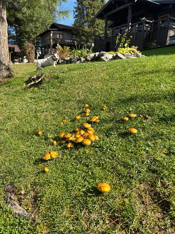 Фото из отзыва от 18.09.2025