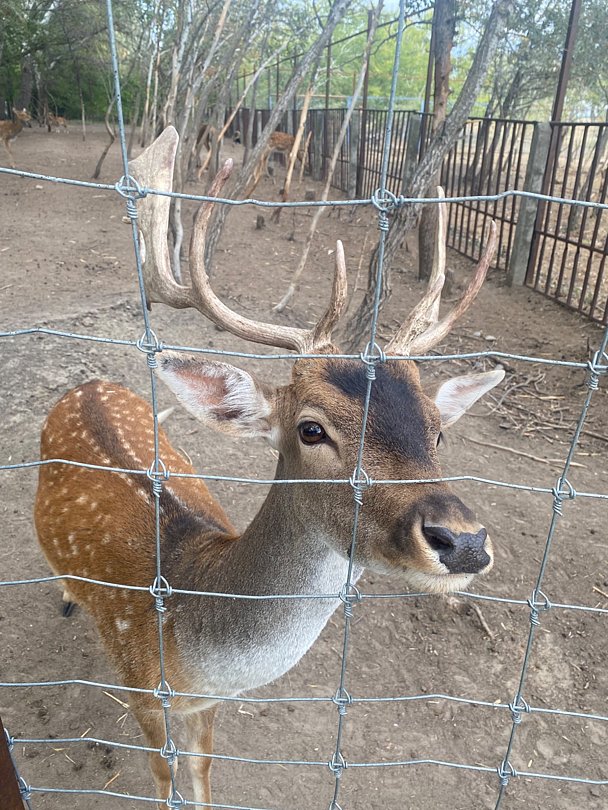 Фото 5 из отзыва о базе отдыха Донская Миля