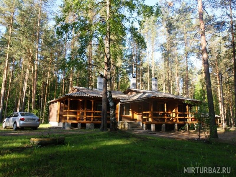 Аврора, Ленинградская область: фото 3