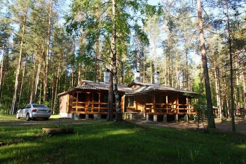 Аврора, Ленинградская область: фото 3