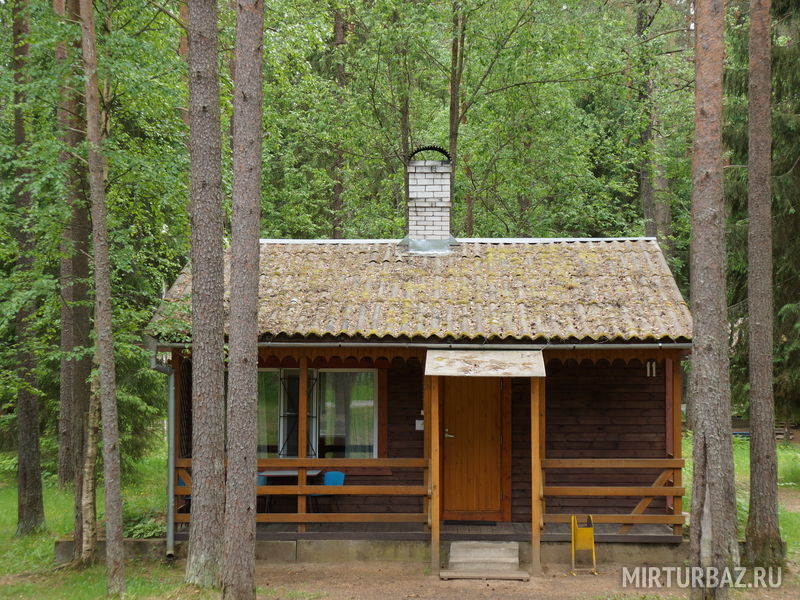 Аврора, Ленинградская область: фото 4