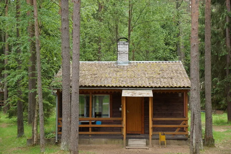 Аврора, Ленинградская область: фото 4