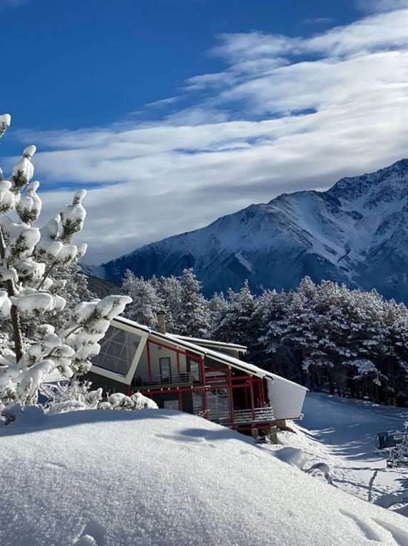 1950, Республика Северная Осетия (Алания): фото 3