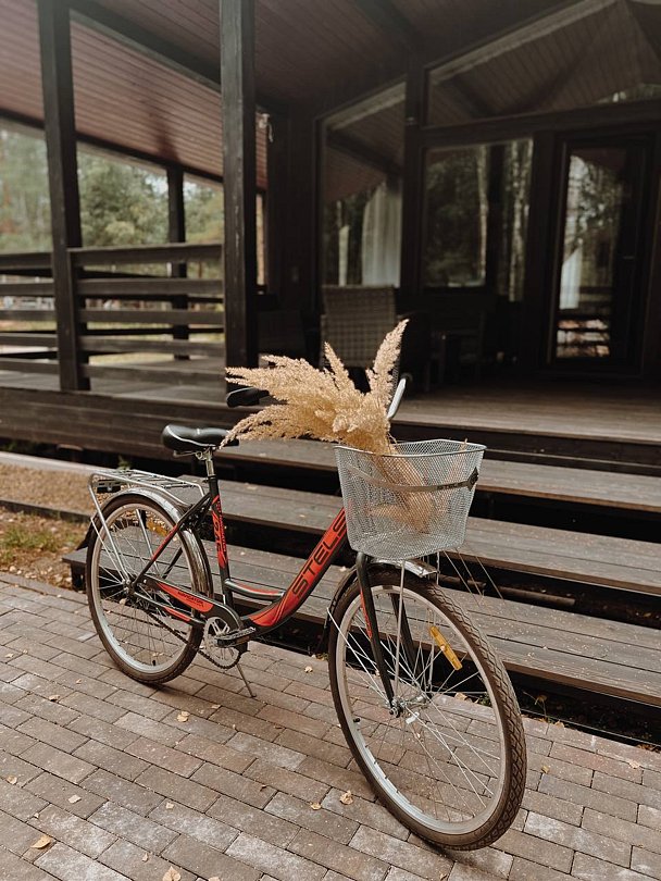 Дом 2-местный 1-комнатный (LATO-65 Sauna)