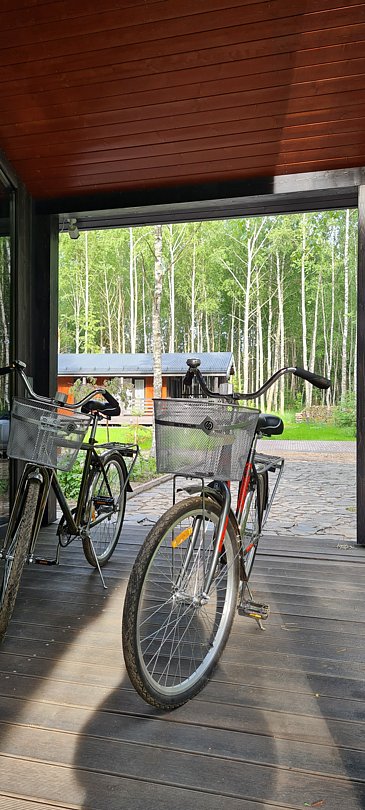 Дом 4-местный 2-комнатный (LATO-80 Sauna)