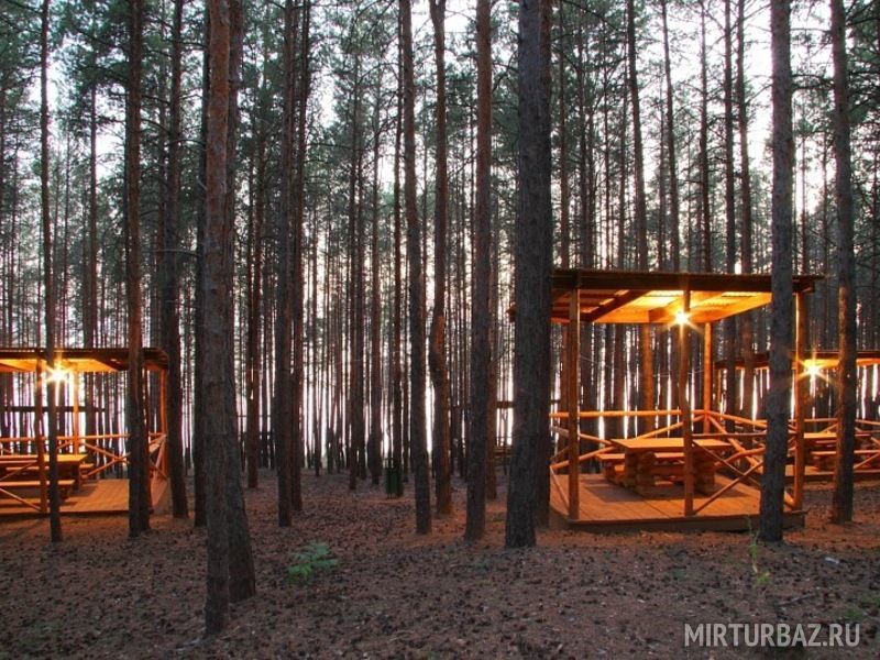 Разгуляево, Ульяновская область: фото 4