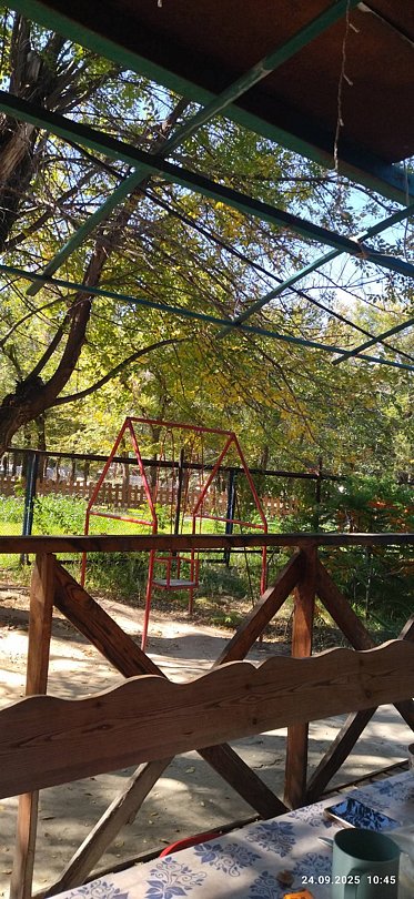 Фото 1 из отзыва о базе отдыха Березовые дали