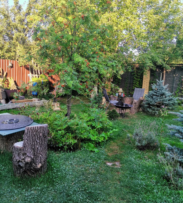 Полёт, Московская область: фото 4