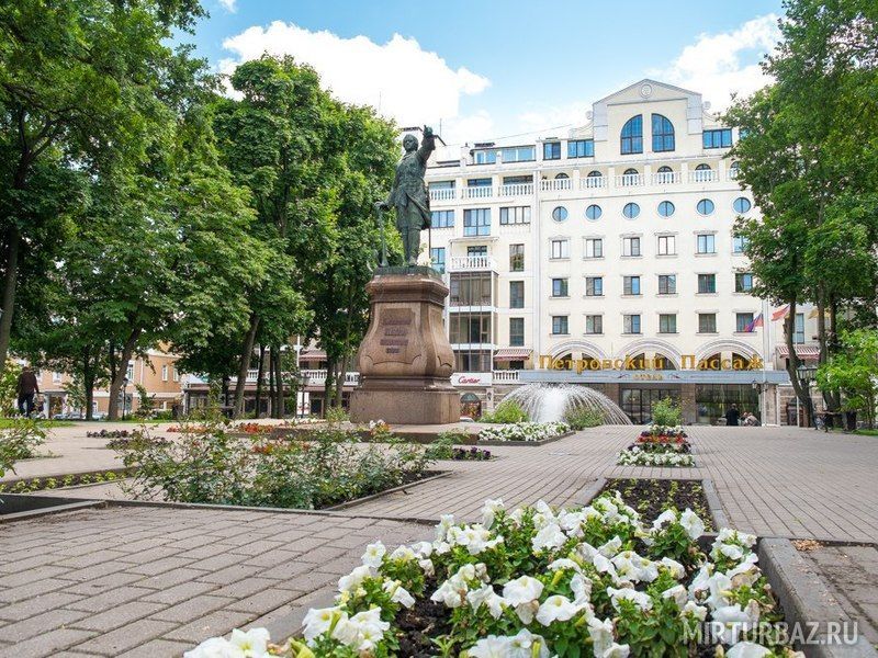 Отель Петровский пассаж, Воронежская область, Воронеж Воронеж село Чертовицы поселок Маклок Семилуки