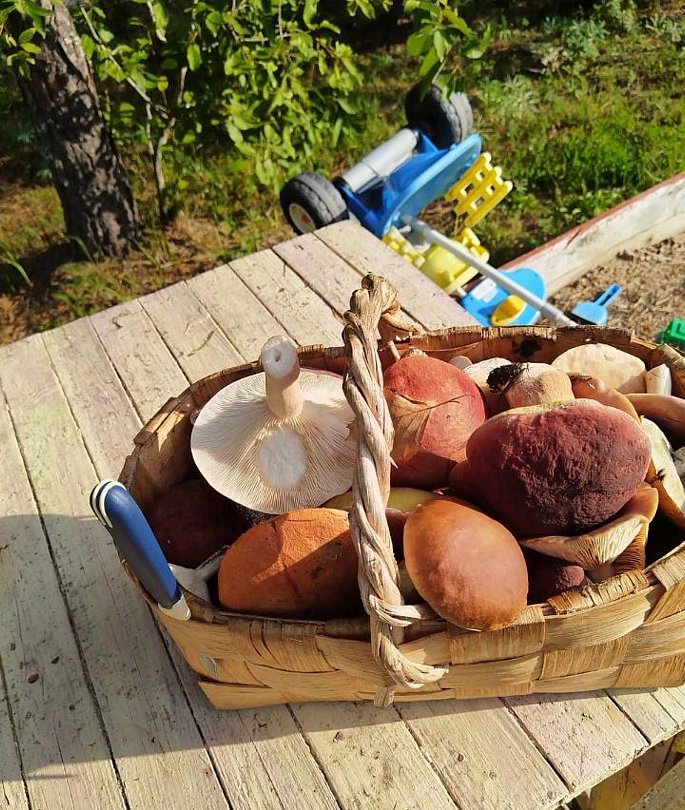 Дом в Верхней Видлице, Республика Карелия: фото 5