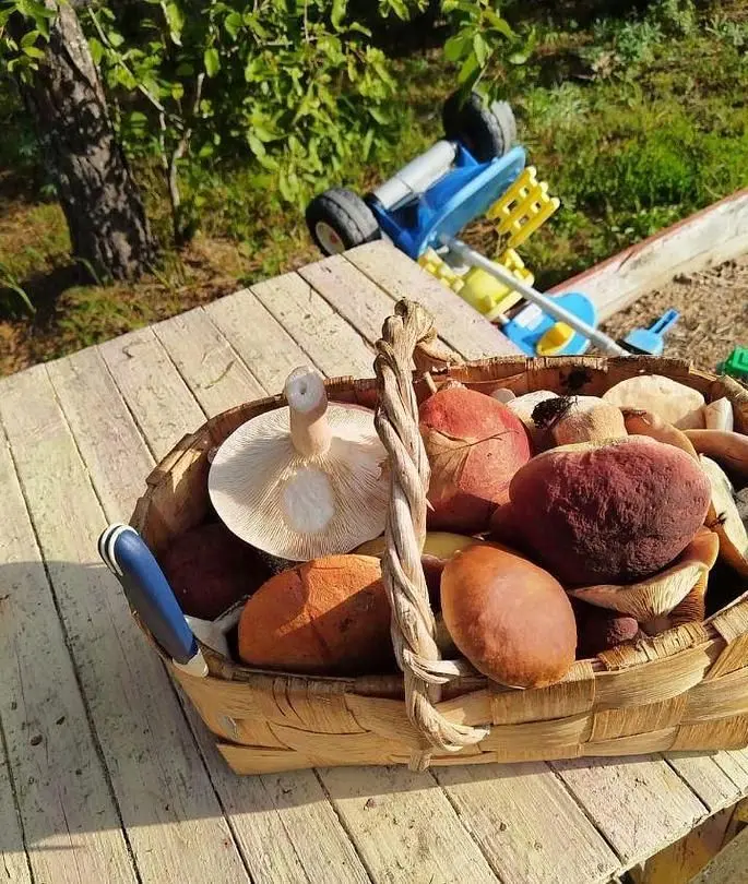 Дом в Верхней Видлице, Республика Карелия: фото 5