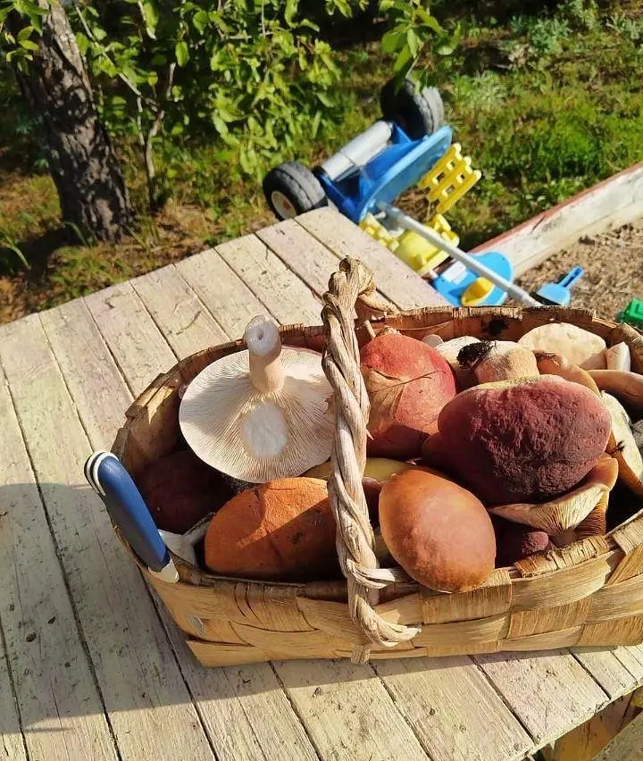 Дом в Верхней Видлице, Республика Карелия: фото 5