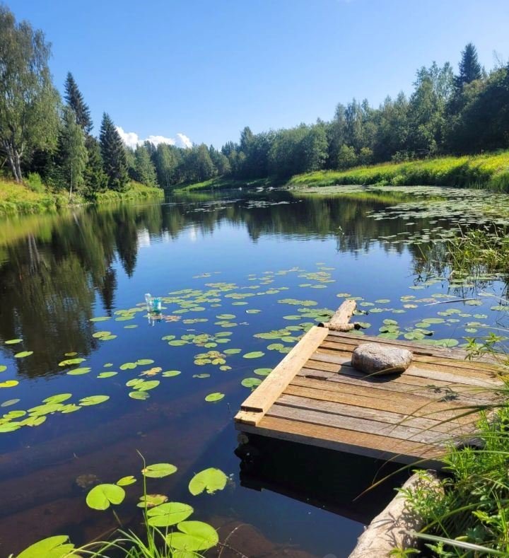 Дом в Верхней Видлице, Республика Карелия: фото 4