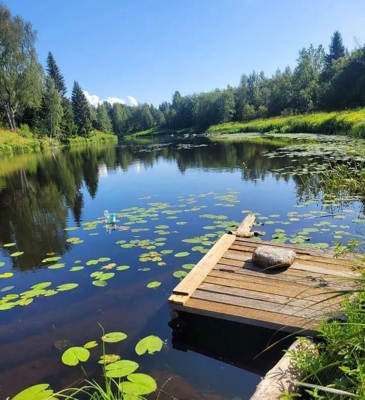 Дом в Верхней Видлице, Республика Карелия: фото 4