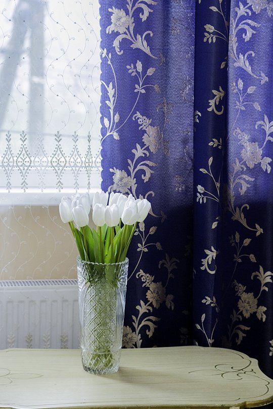 Люкс 4-местный 1-комнатный (4+1)