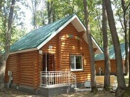 Коттедж "Львенок", База отдыха Егоркины горки, село Новая Усмань