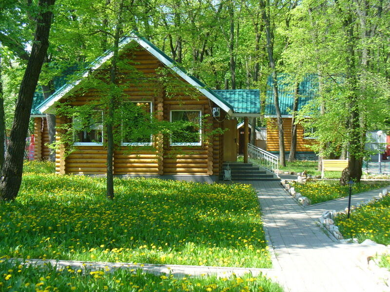 База отдыха Егоркины горки, Воронежская область, Новая Усмань Новая Усмань Новоусманский район