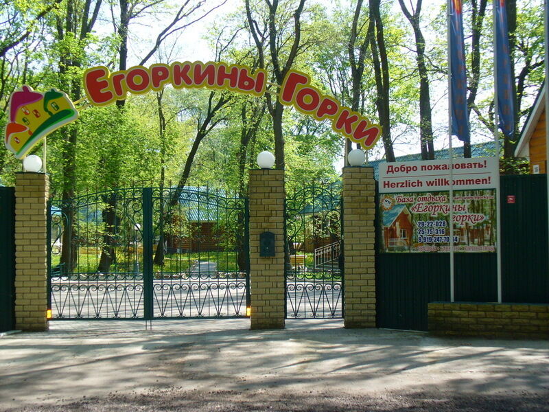 Егоркины горки, Воронежская область: фото 2