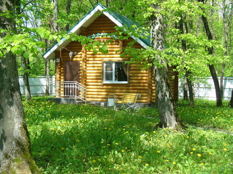Егоркины горки, Воронежская область: фото 3