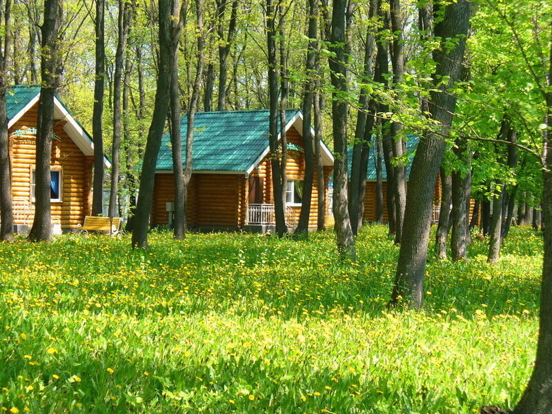 Егоркины горки, Воронежская область: фото 4
